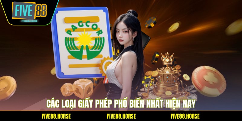 Giấy Phép Hoạt Động 2 Các loại giấy phép phổ biến nhất hiện nay