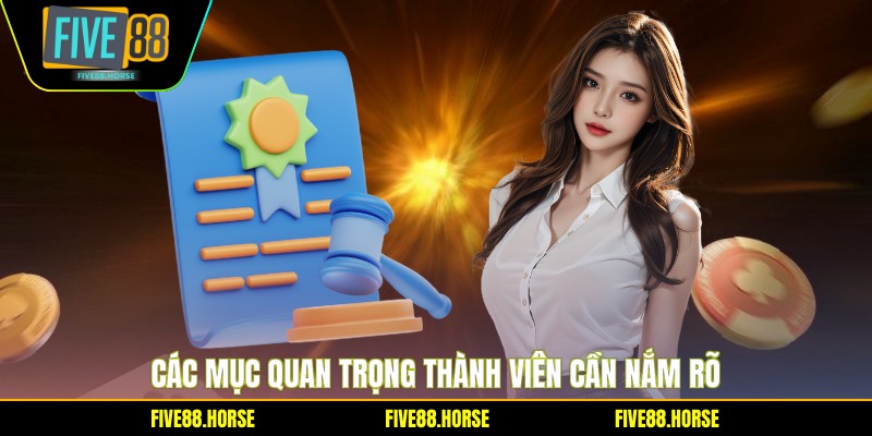 Điều Khoản Điều Kiện 2 Các mục quan trọng thành viên cần nắm rõ