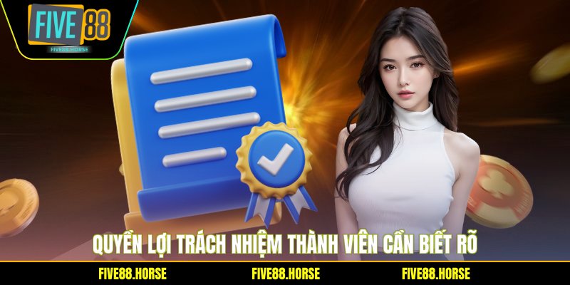 Điều Khoản Điều Kiện 3 Quyền lợi trách nhiệm thành viên cần biết rõ